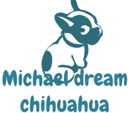 Michael Dream Chihuahua Pups